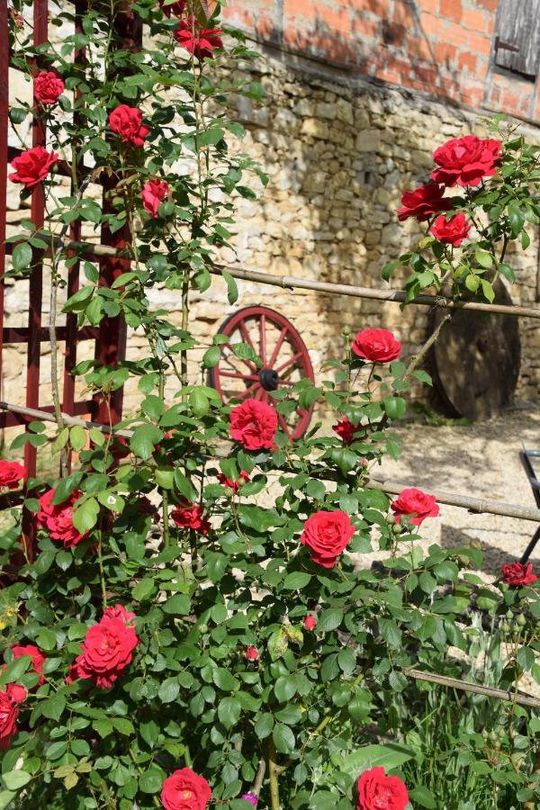 Bed and Breakfast La Chabotine Allas-Les-Mines Exterior foto